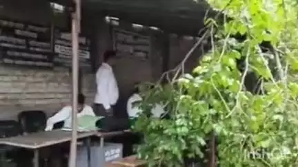डबरा के सिविल न्यायालय में तेज हवा और बारिश में गिरा पुराना वृक्ष, बाल-बाल बचा हादसा