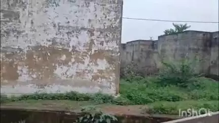 बारां: हाउसिंग बोर्ड कोटा रोड बाईपास पर बारिश और तूफान के कारण गिरे लाइट के पोल को बिजली विभाग ने किया दुरुस्त