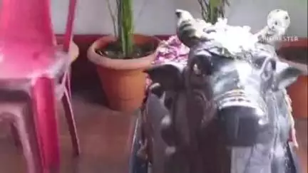 गोलमुरी-सह-जुगसलाई: बिरसानगर के हनुमान मंदिर से पीतल के बर्तन चोरी, चोर सीसीटीवी में कैद