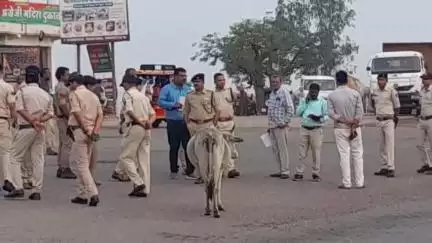 हनुमना: पुलिस अधीक्षक ने हनुमना बाईपास सहित कई क्षेत्रों का दौरा कर दुर्घटना रोकने हेतु ब्लैक स्पॉट का निरीक्षण किया