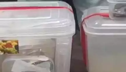 गोलमुरी-सह-जुगसलाई: चाकुलिया लूटकांड का खुलासा: दो लुटेरे गिरफ्तार, सोने के जेवरात और हथियार बरामद