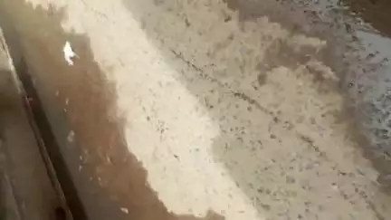 Gogri ward N 13 me vikas ki ganga bah rahi vote ke samay neta gali gali ghumta hai aur vote ke baad dekhne bhi nahi aata
