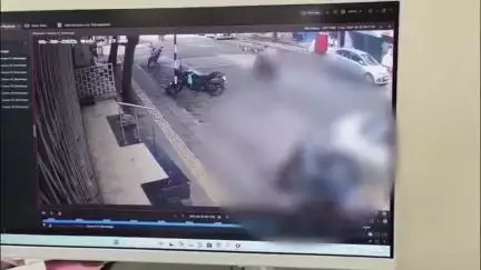 पुणे शहर: सांगवी परिसरात कार चालकाने श्वनाला उडवले, कार चालकविरोधात गुन्हा दाखल