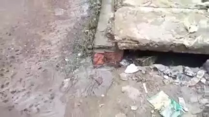 पनागर: हाउसिंग बोर्ड सुभाष नगर में बजबजाती नाली का पानी आ रहा नलों में, लोग हो रहे बीमार, जिम्मेदार मौन#जनसमस्या