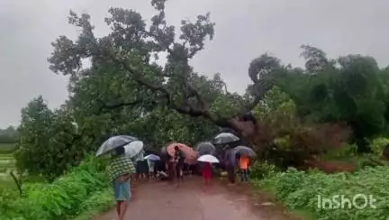 କୋଟପାଡ: ବୈପାରିଗୁଡା ବ୍ଲକର ବିଭିନ୍ନ ସ୍ଥାନରେ ଲଗାଣ ବର୍ଷା ପ୍ରଭାବ ଦେଖିବାକୁ ମିଳିଛି, ବିଦ୍ୟୁତ ଖୁଣ୍ଟ ଭାଙ୍ଗିଲା ଏବଂ ଗଛ ଉପୁଡିଲା