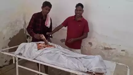 सिमडेगा: चकोरबेड़ा गांव में जहरीले सांप के काटने से महिला की मौत