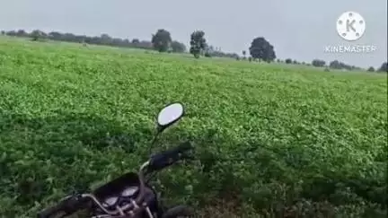 आष्टी: शेतकऱ्याची विहिरीतील मोटर केली चोरट्यांनी लंपास ..शेतकऱ्यांच्या अडचणीत झाली वाढ.. खंबीत बेलोरा येथील घटना...