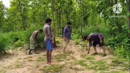 ঝাড়গ্রাম: ঝাড়গ্রামের জিতুশোল এলাকার জঙ্গলে একাধিক অজানা জন্তুর পায়ের ছাপকে ঘিরে এলাকায় ব্যাপক চাঞ্চল্য