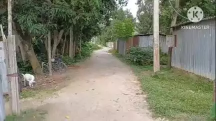 রায়গঞ্জ: দীর্ঘদিন থেকে বেহাল পশ্চিম বোগ্রামের রাস্তা, সমস্যায় বাসিন্দারা, মেরামতের আশ্বাস দিলেন স্থানীয় পঞ্চায়েত সদস্য #jansamasy