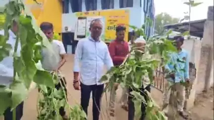 सेलू: उपजिल्हा रुग्णालयातील सार्वजनिक शौचालयच्या दुरावस्थेच्या निषेधार्थ
नगरपरिषद प्रवेशदारावर बेशरमाची झाडे लावून निषेध