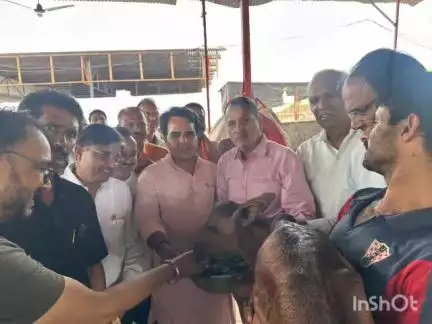 महवा: महुआ विधायक ने गौशाला पहुंचकर गौ एंबुलेंस की घोषणा की, गायों को खिलाया चारा