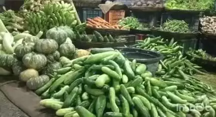 रॉबर्ट्सगंज: जिले में सब्जियों के बढ़े दाम, हरा धनिया ₹400 के पार