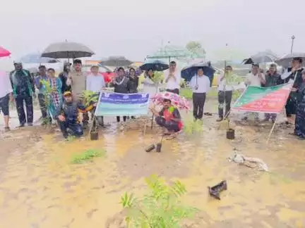 ଜୟପୁର: ଜୟପୁର ସ୍ଥିତ ଜିଲ୍ଲା ଚିକିତ୍ସଳୟ ପରିସରରେ ବୃକ୍ଷ ରୋପଣ କାର୍ଯ୍ୟକ୍ରମ ଅନୁଷ୍ଠିତ