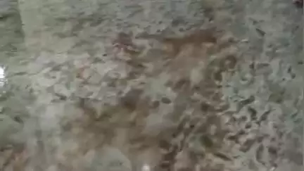 चाईबासा: सदर अस्पताल में गंदगी का अंबार, डीसी से शिकायत के बाद हरकत में आया अस्पताल प्रबंधन और सफाई कर्मी