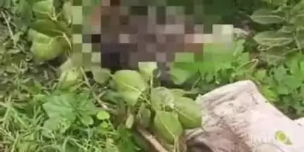 खुसरूपुर: छोटा हसनपुर गांव के पास फोरलेन के नीचे बोरे में बंद मिली एक अज्ञात युवती की लाश