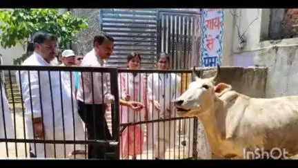 मीरगंज: एसडीएम ने मीरगंज में संचालित कान्हा गौशाला का निरीक्षण किया, साफ-सफाई के दिए निर्देश