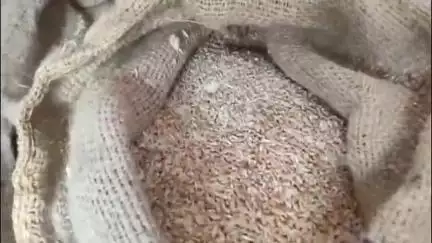 बाढ़: बाढ़ में जन-वितरण प्रणाली की दुकान में घटिया चावल की आपूर्ति से जनता और डीलर नाराज़