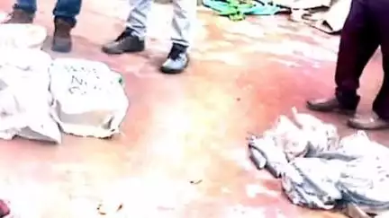 हरदा: हरदा में अवैध रूप से बिक रही 50 किलो मछली ज़ब्त
