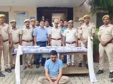 छोटीसादड़ी: छोटी सादड़ी पुलिस ने मध्यप्रदेश के कुख्यात बदमाश सलमान से जंगल में ज़मीन में दबा मिला हथियारों का जखीरा