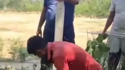 मिलक: डुंढई गाँव की शमशान भूमि पर घाटा संख्या 162 के 696 हैक्टेयर जमीन से अवैध कब्जा हटाकर एसडीएम सदर ने किया कब्जामुक्त