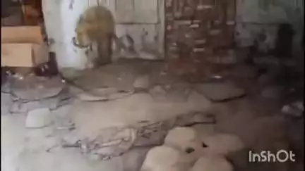 कायमगंज: के कम्पिल रोड स्थित 5 साल पहले सील हुई नकली गुड़ बनाने वाली फैक्ट्री में खाद सुरक्षा अधिकारी पहुंचे, सामान मिला गायब