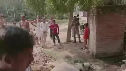 सवायजपुर: बेसिलिया गांव में तड़पते गोवंश को समय पर नहीं मिला इलाज, हुई मृत्यु