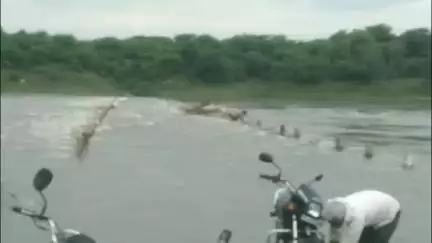 केशोरायपाटन: कोटा बैराज से पानी निकासी के बाद चम्बल में बढ़ा जलस्तर, रोटेदा पुलिया जलमग्न होने से स्टेट हाइवे 37 ए अवरुद्ध