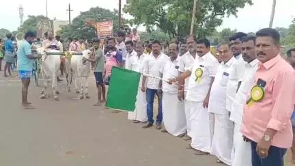 காரைக்குடி: கழனிவாசலில் கோவில் திருவிழாவை முன்னிட்டு இரட்டை மாட்டி வண்டி எல்கை பந்தயம் - 30  மாட்டுவண்டிகள் பங்கேற்பு