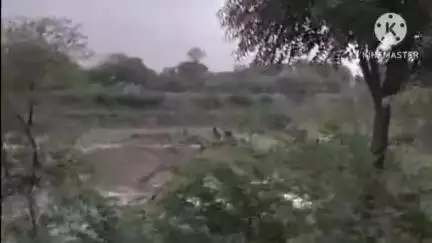 दौसा: जिरौता स्कूल के सामने तालाब में बच्चों के गिरने की आशंका को लेकर ग्रामीणों ने दौसा में मीडिया से संपर्क किया