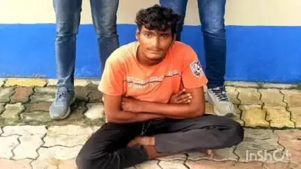 આણંદ: વિદ્યાનગરમાંથી સગીરાનું અપહરણ કરનાર આરોપી ટાઉનહોલ પાસેથી ઝડપાયો