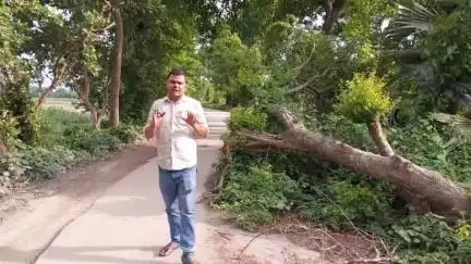 धमदाहा: लोहिया चौक धमदाहा से राजघाट गरेल जाने वाली मुख्य सड़क पर बीते एक महीने से गिरा हुआ पेड़ दे रहा है हादसों को निमंत्रण