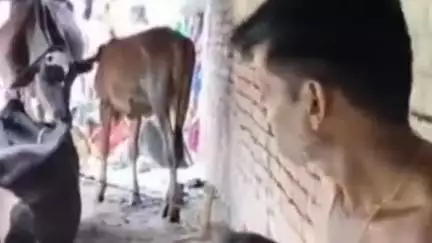 दरभंगा: भवानीपुर पंचायत में बिजली के करंट से बीए के छात्र की मौत