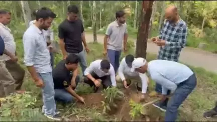 घुमारवीं: सहकारिता के 75 वर्ष पूर्ण, कोठी सहकारी सभा ने 'एक पेड़ मां के नाम' अभियान के तहत किया पौधारोपण