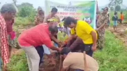 କଣ୍ଟାବାଞ୍ଜି: ନାନ୍ଦୋଲ ଗାଁରେ ବନ ମହୋତ୍ସବ କାର୍ଯ୍ୟକ୍ରମ ଅନୁଷ୍ଠିତ, ଯୋଗଦେଲେ କଣ୍ଟାବାଞ୍ଜି ବିଧାୟକ