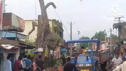 আড়শা: আড়শা বাজারে বিপজ্জনকভাবে থাকা দুটি গাছ কাটল প্রশাসন