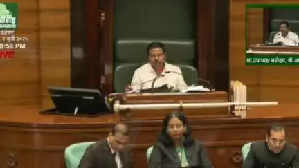 बुलढाणा: जनावरांना बिल्ला नसल्यामुळे नुकसानभरपाई न देण्याची अट रद्द करण्यात यावी: आमदार संजय गायकवाड
