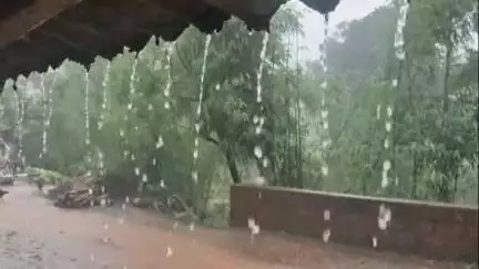 पाटण: कोयना धरणाच्या पाणलोट क्षेत्रात पाणी पातळीमध्ये वाढ, नदीपात्रात 3 हजार 726 क्युसेकचा विसर्ग सुरू