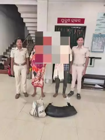 ଜୟପୁର: ପଢେଇକେରା ଓ ହାତିବାରୀ ନୁଆଗୁଡା ଗ୍ରାମ ରାସ୍ତାରେ ଜୟପୁର ଅବକାରୀ ଥାନାର ଚଢାଉ, 2 ଅଭିଯୁକ୍ତ ଗିରଫ