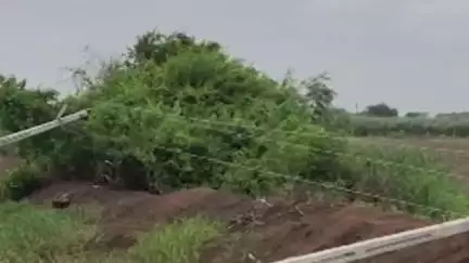 કરજણ: કરમડી ગામની ઉભા કરાયેલા વિજપોલ  15 દિવસમાં ધારાશાહિ તથા કામગીરી સામે અનેક સવાલો ઊભા થયા