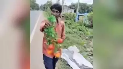 খড়গ্রাম: নগর থেকে শেরপুর যাওয়ার রাস্তার ধারে সরকারি গাছের লোহার গার্ডগুলো খুলতে গিয়ে হাতেনাতে ধরা পড়ল এক যুবক
