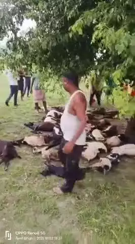 दीन शाह गौरा के पूरे सरवरियन पयागपुर में बुधवार लगभग 6:00 आकाशीय बिजली गिरने से एक बुजुर्ग महिला की मौत