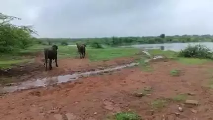 बीरपुर: वीरपुर: सीताराम चक्र में श्मशान भूमि से अब भी वंचित हैं वहां के लोग