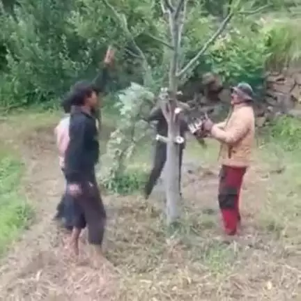 निचार: किन्नौर ज़िले के उरनी गाँव में ग्रामीणों ने मिसाल की पेश करते हुए सैकड़ों सेब के पेड़ काटकर सड़क के लिए भूमि दान की