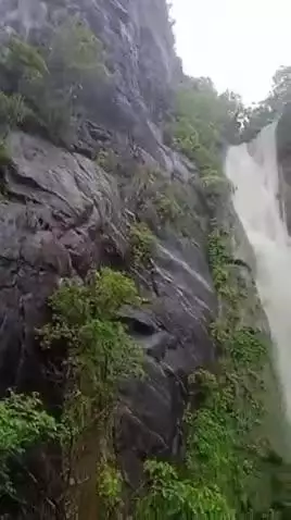 मारवाड़ जंक्शन: मारवाड़ जंक्शन में तेज बरसात से अरावली की पहाड़ियों में गोरम घाट भील बेरी झरना शुरू, पहुंच रहे पर्यटक