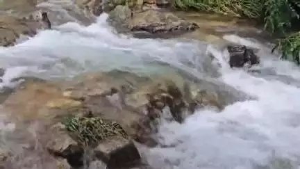 ദേവികുളം: കനത്ത മഴ പെയ്താൽ പുറം ലോകവുമായുള്ള ബന്ധം നഷ്ടപ്പെടും, പ്രതിസന്ധിയിൽ മാങ്കുളം ആനക്കുളത്തെ കുടുംബങ്ങൾ #localissue