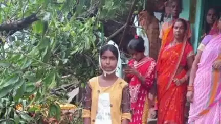 गुमला: खोरा पतरा टोली में बारिश से विशालकाय आम का पेड़ घर पर गिरा, एक छात्रा घायल