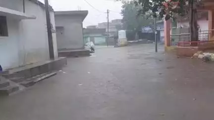 जांजगीर: जिले में 24 घंटे से हो रही झमाझम बारिश, जनजीवन अस्त-व्यस्त, कई जगह आंधी-तूफान से टूटे पेड़-पौधे, आवागमन प्रभावित