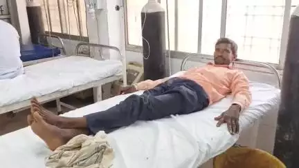महोबा: बम्हौरी काजी गांव के एक व्यक्ति की जहरीले सर्प के डसने से बिगड़ी हालत, जिला अस्पताल में इलाज जारी