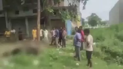 बदायूं: बदायूं के उझानी कस्बा में संतोषी माता मंदिर के समीप विद्युत पोल में उतरे करेंट की चपेट में आने से भैंस की हुई मौत
