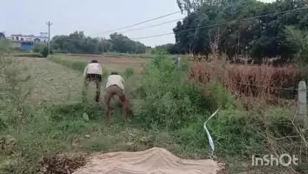 औरैया: 11 हजार की लाइन जमीन से 7 फुट ऊपर, रौतियापुर के ग्रामीण बोले विभाग कर रहा किसी बड़ी घटना का इंतजार #jansamasya